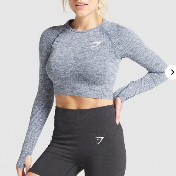 Gymshark Gray Vital Seamless Long Sleeve Crop Top - Picture 1 of 7